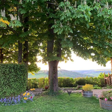 Bed and Breakfast La Flavignienne à Flavigny-sur-Ozerain Extérieur photo