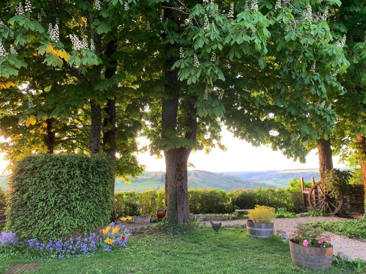 Bed and Breakfast La Flavignienne à Flavigny-sur-Ozerain Extérieur photo