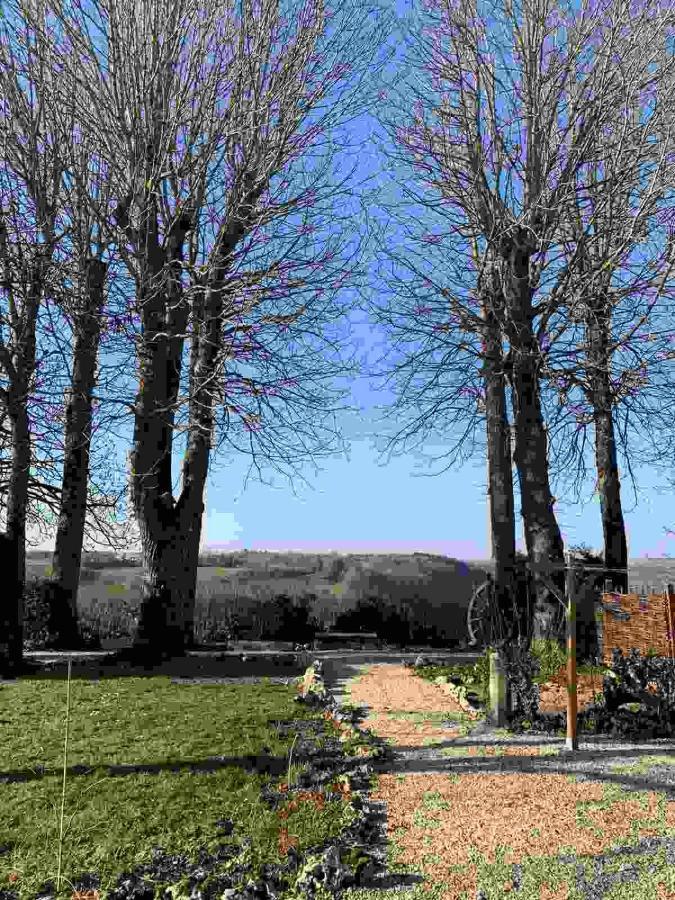 Bed and Breakfast La Flavignienne à Flavigny-sur-Ozerain Extérieur photo